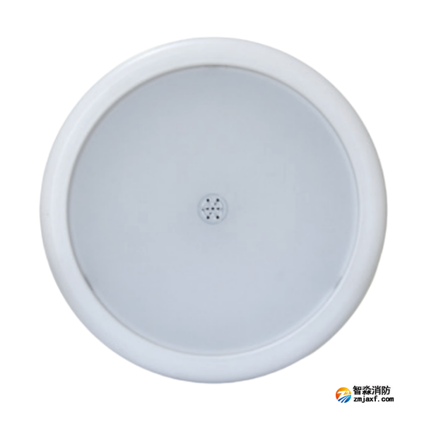 湖北海湾HW-ZFJC-E6W-N656SG声光感应型消防应急照明灯具